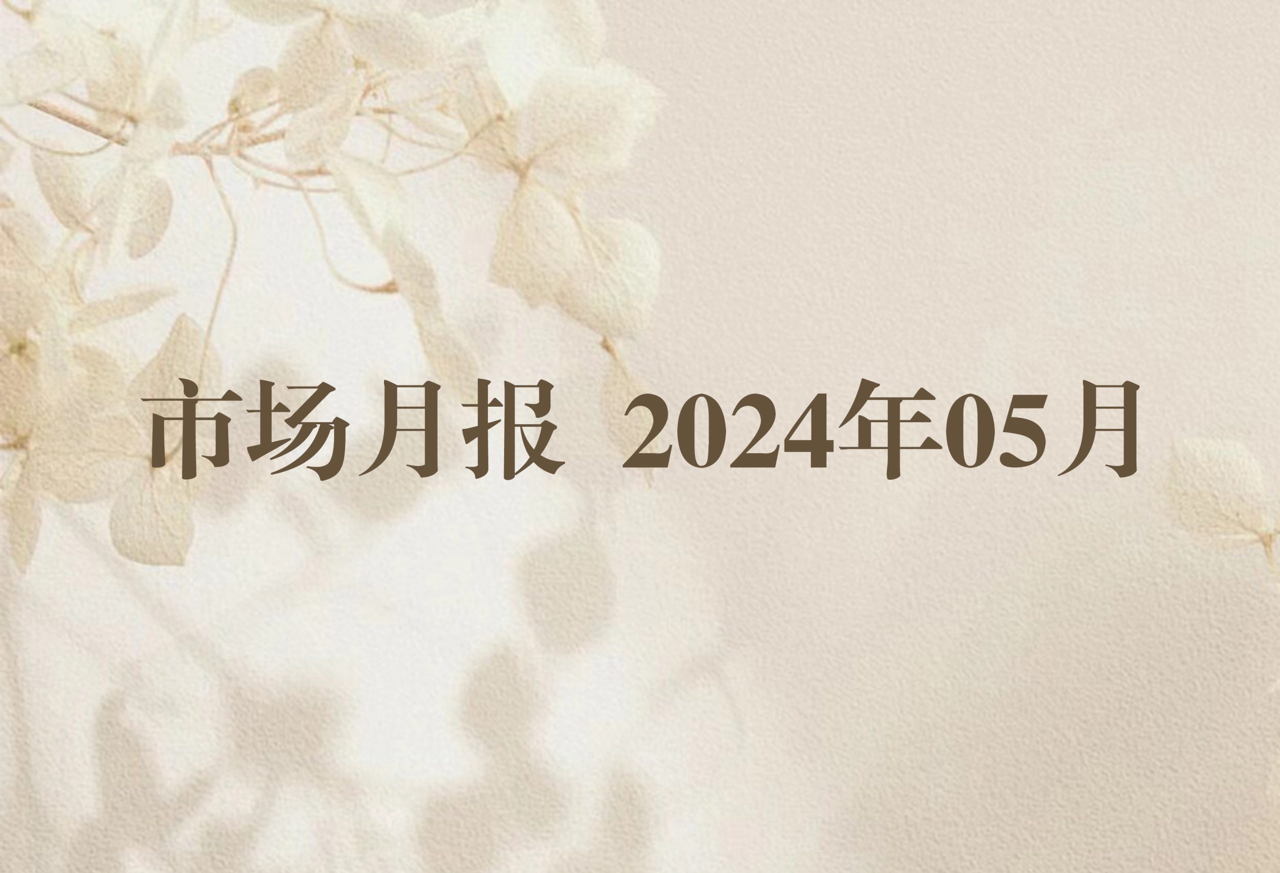 市场月报 2024年05月